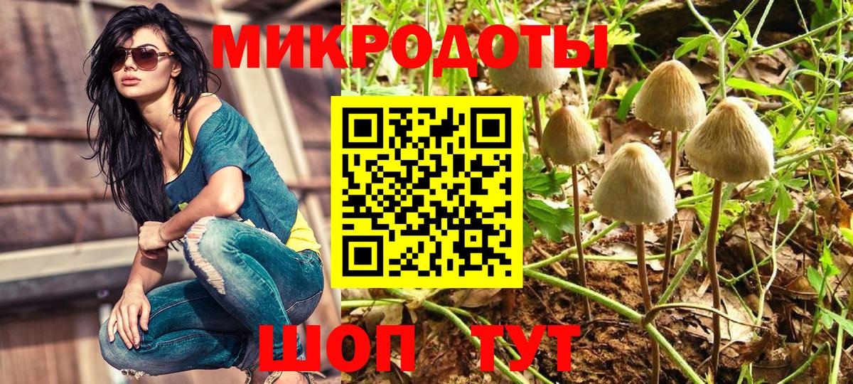 Галлюциногенные грибы MAGIC MUSHROOMS Октябрьский