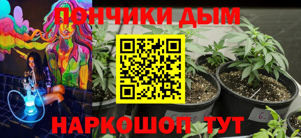 Канабис VHQ Октябрьский